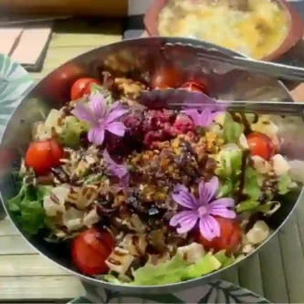 comida vegana la xana del torio comida vegana la xana del torio